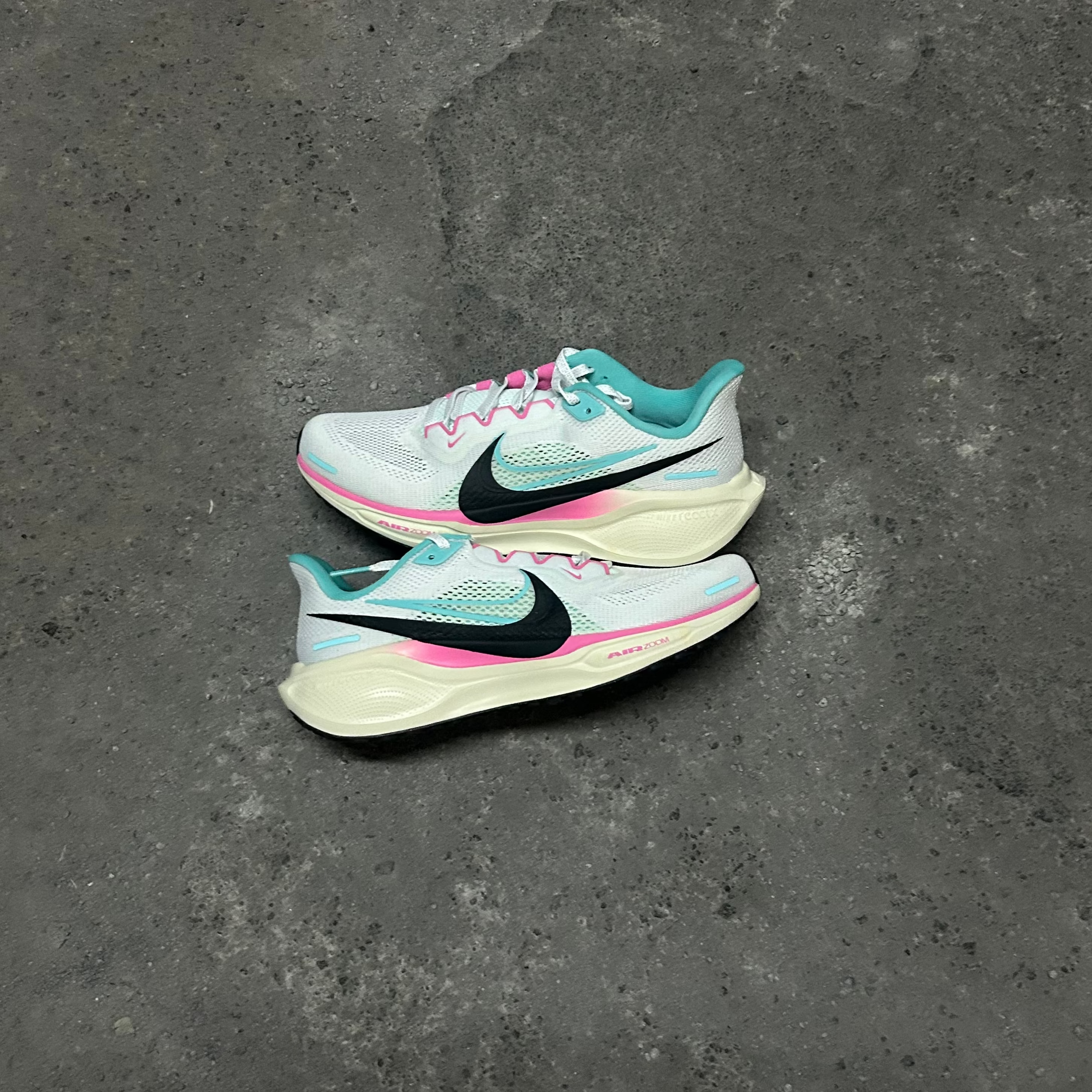 Air Zoom Pegasus 41 "Be The One"