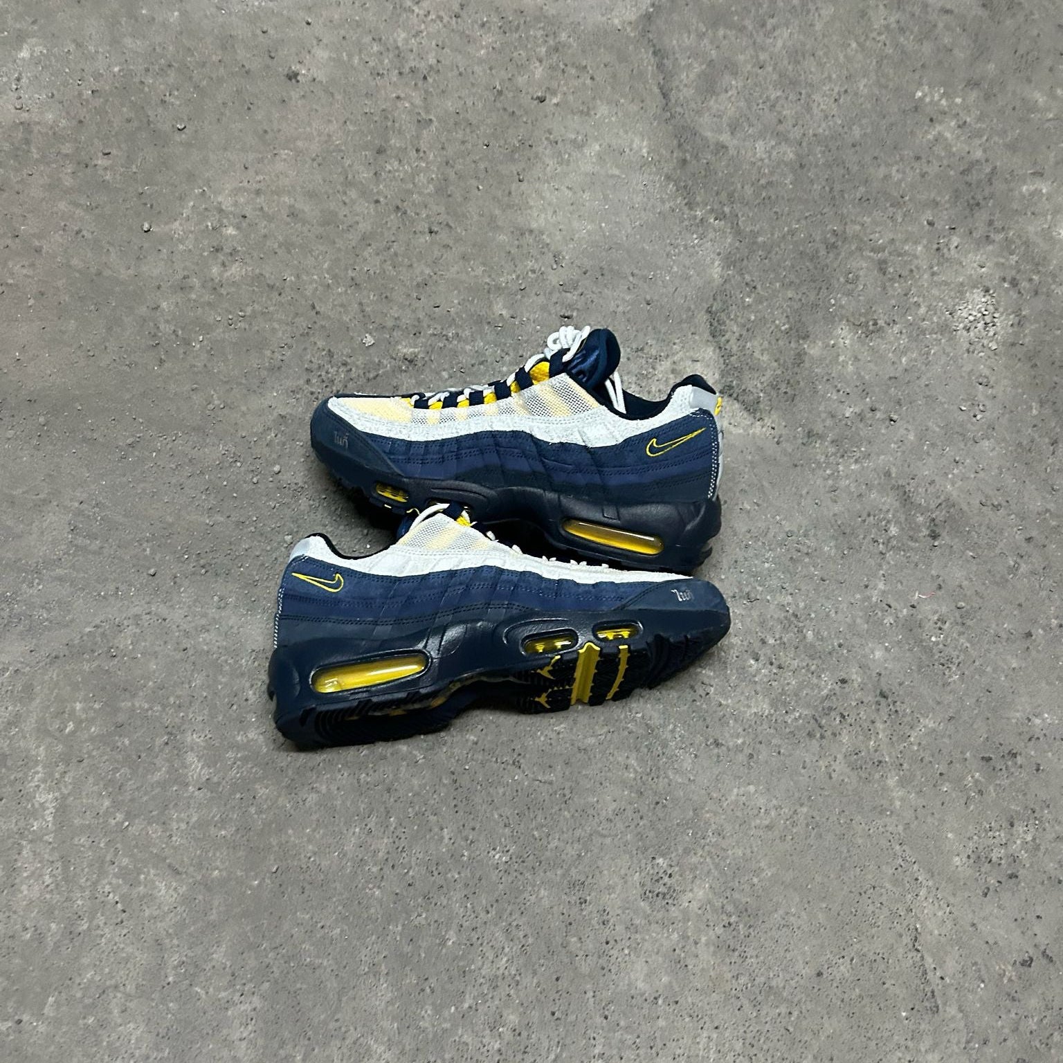 Air Max 95 SB Eric Koston Obsidian Speed