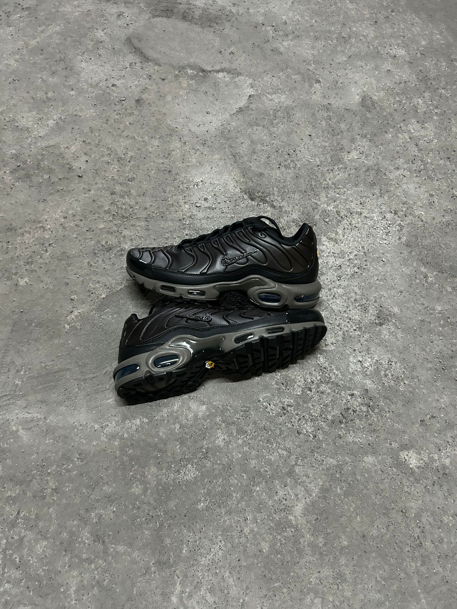 Air Max Plus TN Paris